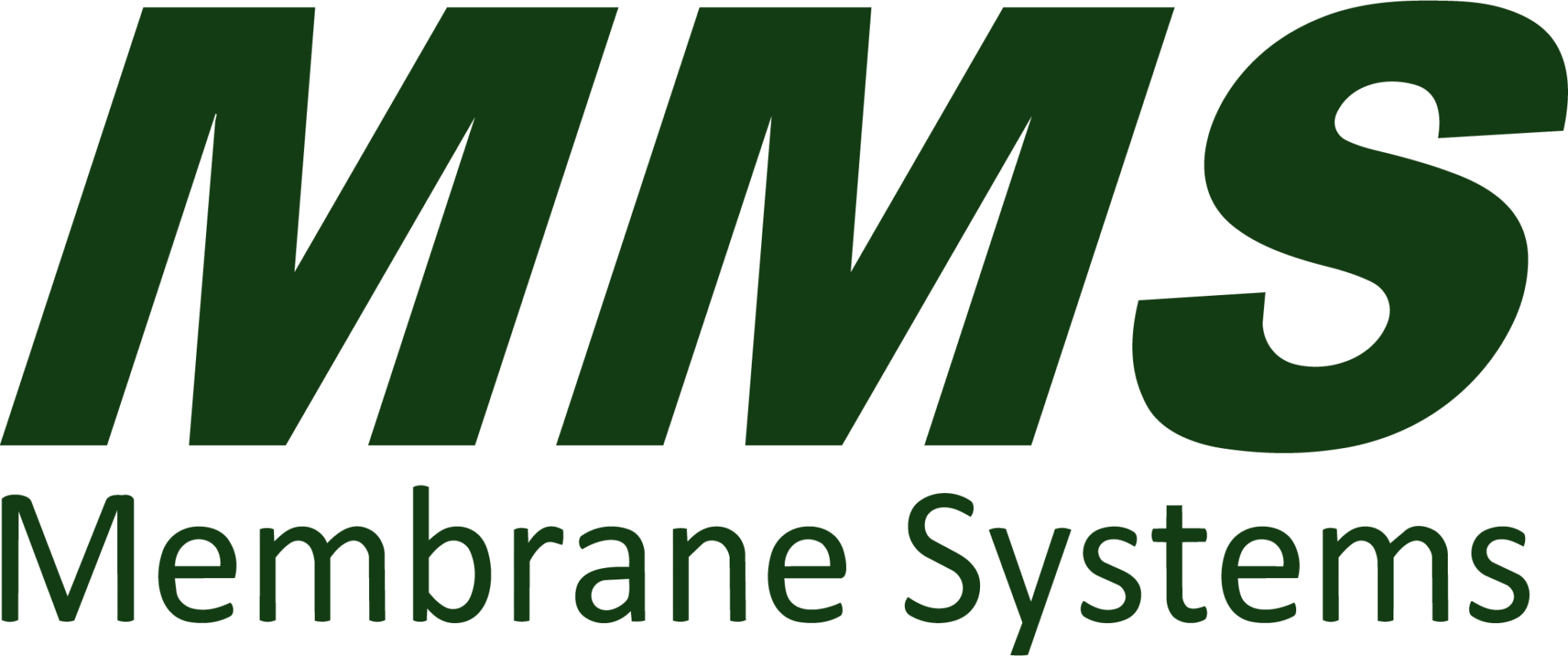 Membrane_Systems